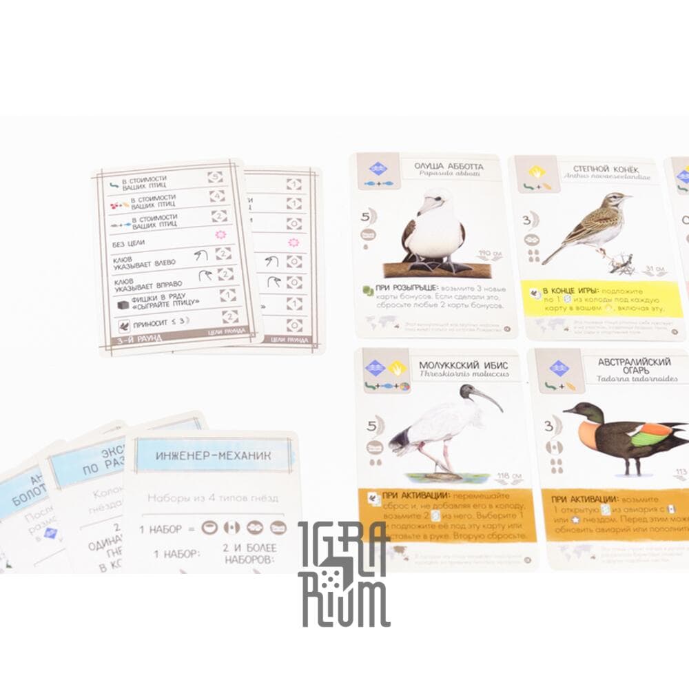 Птицы дополнение. Птицы дополнение. Настольная игра lavka games крылья. Птицы европы настольная игра. Настольная игра lavka games крылья.